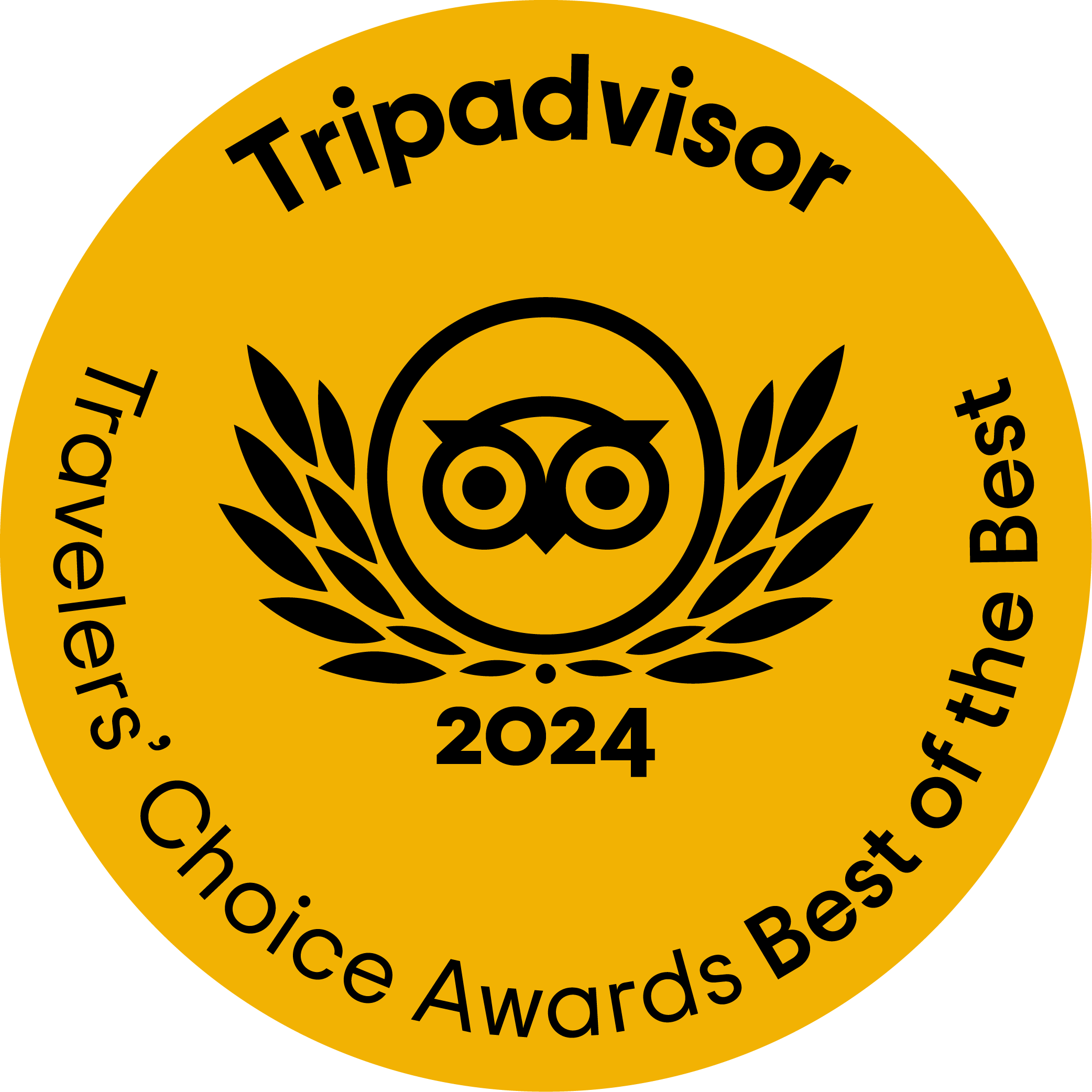Tripadvisor Travellers Choice Awards 20024 winner